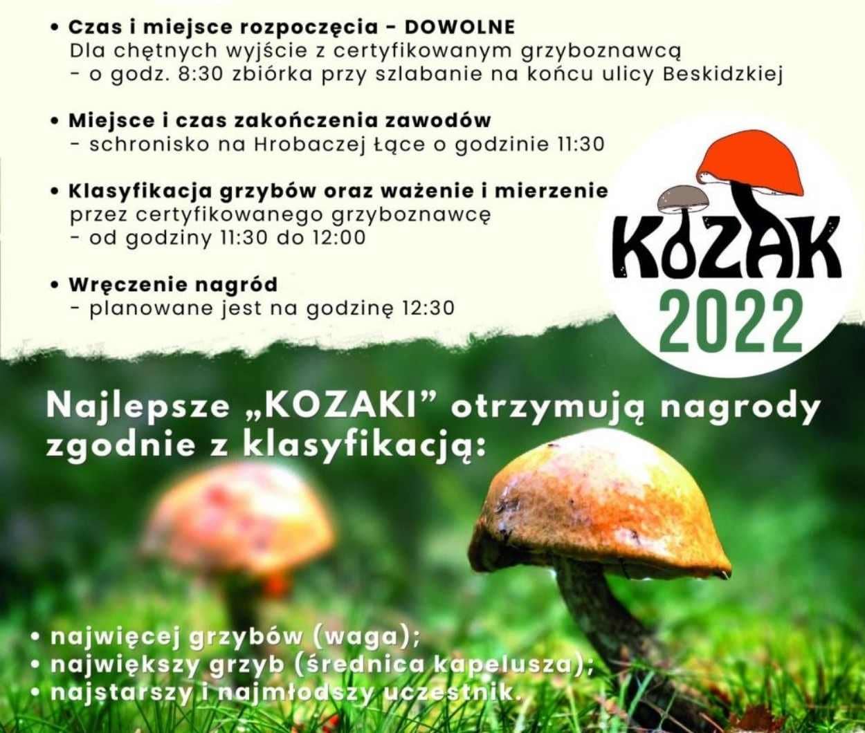Kozak 2022, czyli Rodzinne Grzybobranie w Kozach