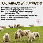 Węgierska Górka: Łossod, czyli jesienny spęd owiec z hal