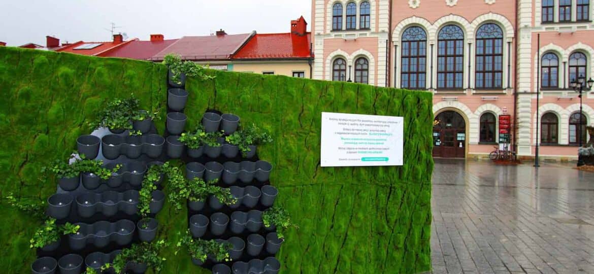 Kampania "Oddech dla Polski" - zielona ściana w Żywcu